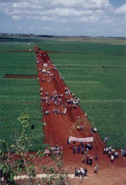 ALAP Field day in Matongos Province (Cub