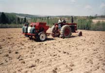 planting nuclear stock